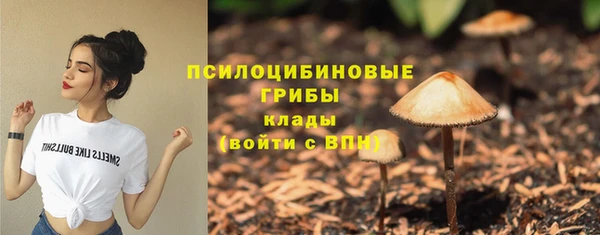 ПСИЛОЦИБИНОВЫЕ ГРИБЫ Новокубанск