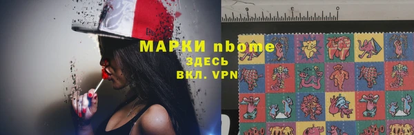 альфа пвп Новодвинск