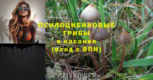 каннабис Новозыбков