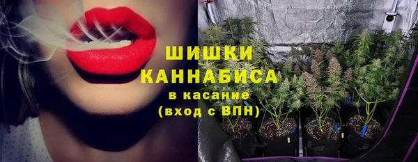 каннабис Новозыбков