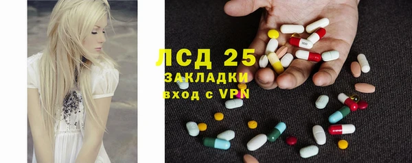 альфа пвп Новодвинск