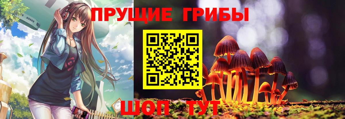 Псилоцибиновые грибы мухоморы  Вход с VPN  Кохма 